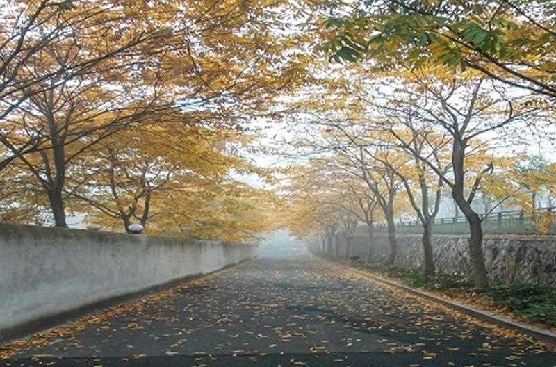 浙江外国语学院留学预科