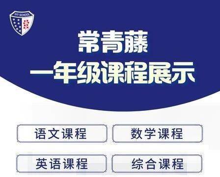课程展示.jpg
