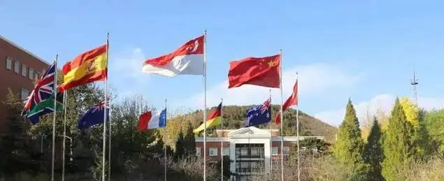 北京BISS国际学校小学部2023年课程体系
