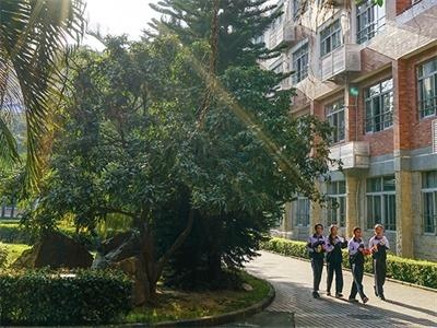深大师范学院国际高中
