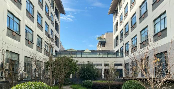 浙江常春藤国际高中2022年录取分数线