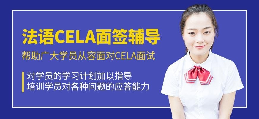 CELS辅导