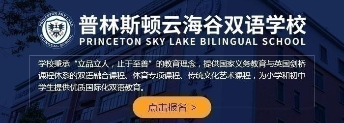 普林斯顿云海谷双语学校