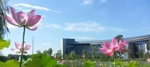 浙江旅游职业学院五年制大专网站