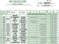 会计真账实操