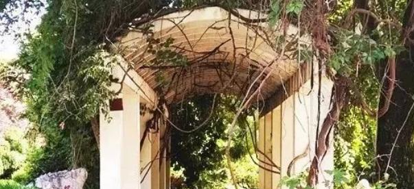 甘肃省庆阳中学2023年学费、收费多少 