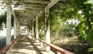 太原市第五中学国际部