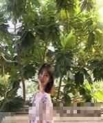 王一帆
