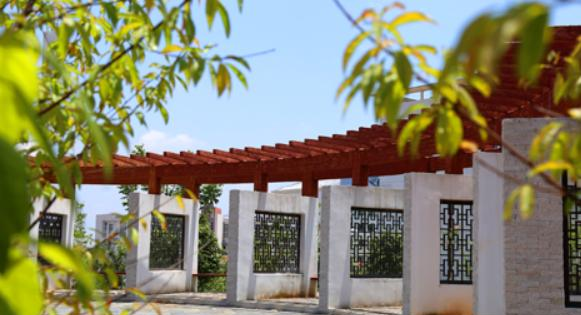 江西中医药高等专科学校2020年招生简章