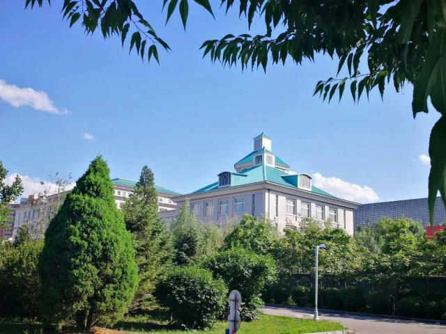 校园风采（三）