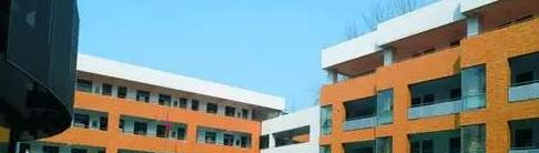 南京金陵中学网站