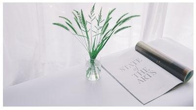 大连平面设计辅导配图