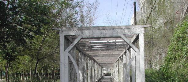 新疆天山职业技术学院单招成绩查询时间