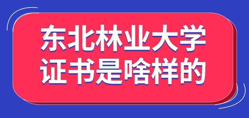 东北林业大学在职研究生的证书是啥样的