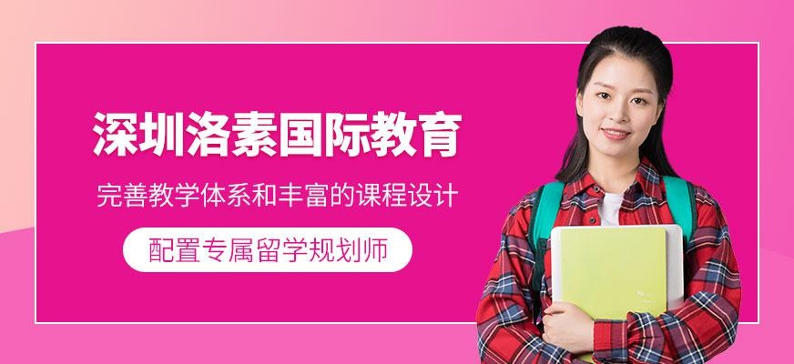 洛素国际教育