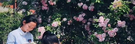 綿陽(yáng)富樂國(guó)際學(xué)校小學(xué)部網(wǎng)站