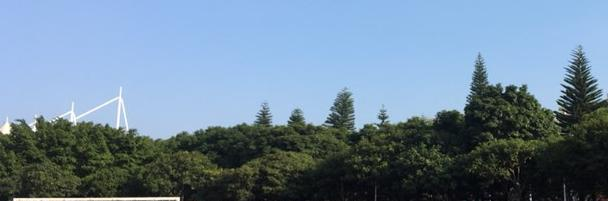 珠海市中学2023年招生录取分数线 