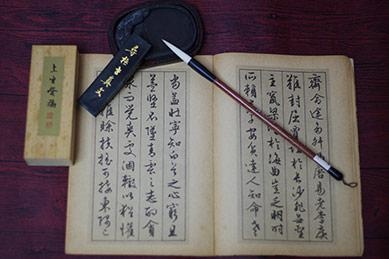 系统训练,能力提升