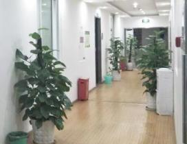 重庆三人行教育