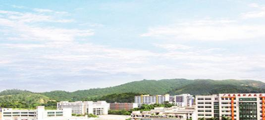 广东交通职业技术学院是几专