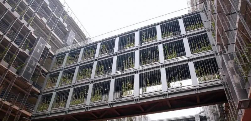  深圳国际交流学院2023年报名时间