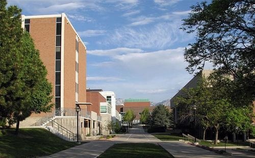 犹他大学