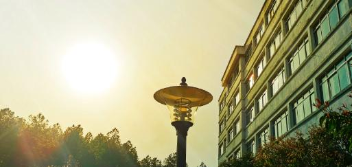 江西枫林涉外经贸职业学院2020年招生办