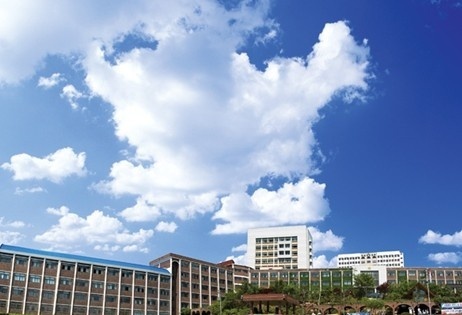 全南科学大学