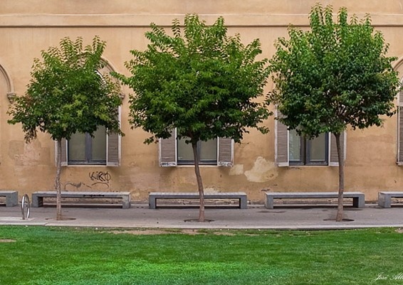 莱里达大学