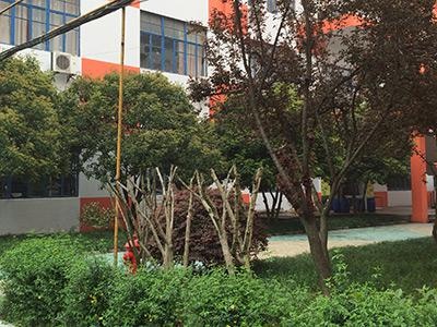 杭州仁和国际学校环境