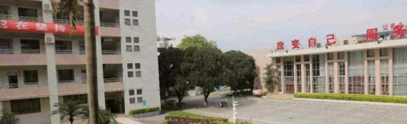 佛山顺德区李伟强职业技术学校网站