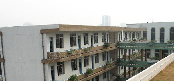 广州沙滘中学网站 