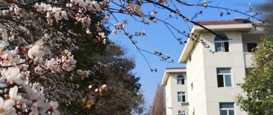 宿州职业技术学院是几专