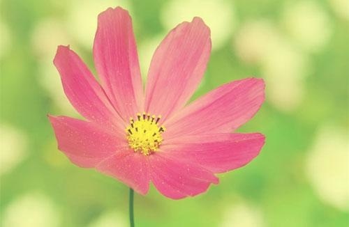 杭州暑假夏令营的作文