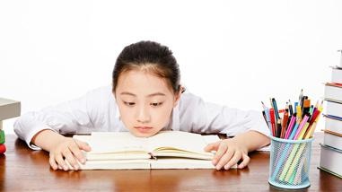 新西兰中小学留学服务