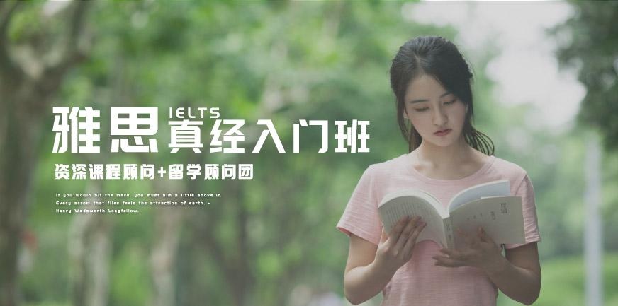 雅思真经入门班