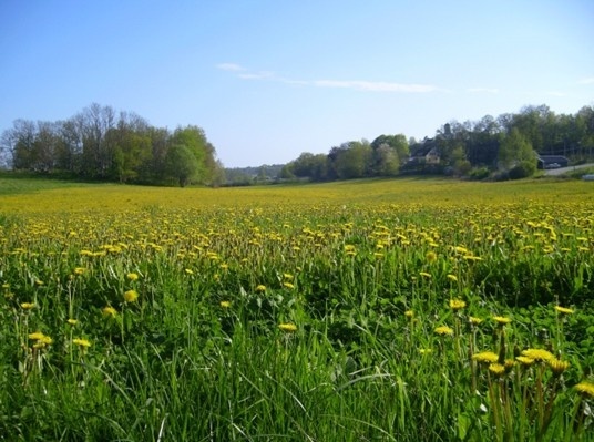 瑞典农业科学大学
