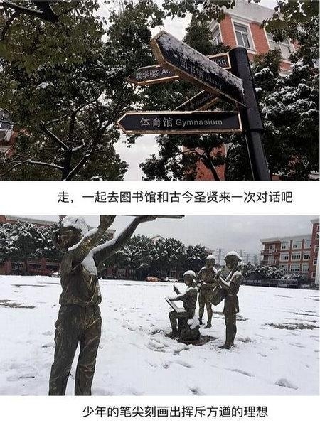 和领科国际高中一起白了头
