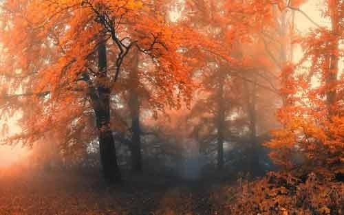 如何正确开发宝宝智力