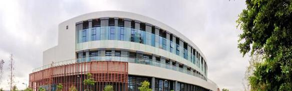 珠海科爱赛国际学校小学部网站