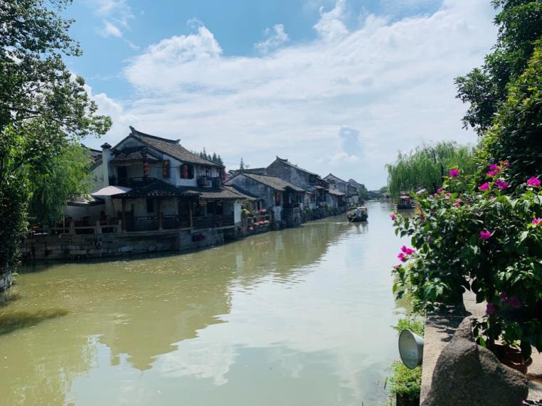 枫泾古镇.jpg