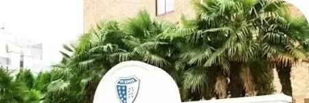  上海常青藤学校靠谱吗