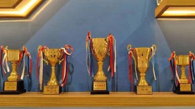 佛山围棋培训班之清风棋院获奖奖杯图片