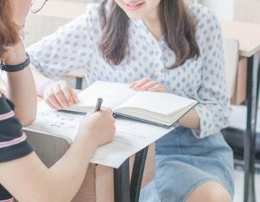 教学师资