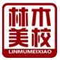 大连林木美术