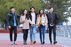 学习方案
