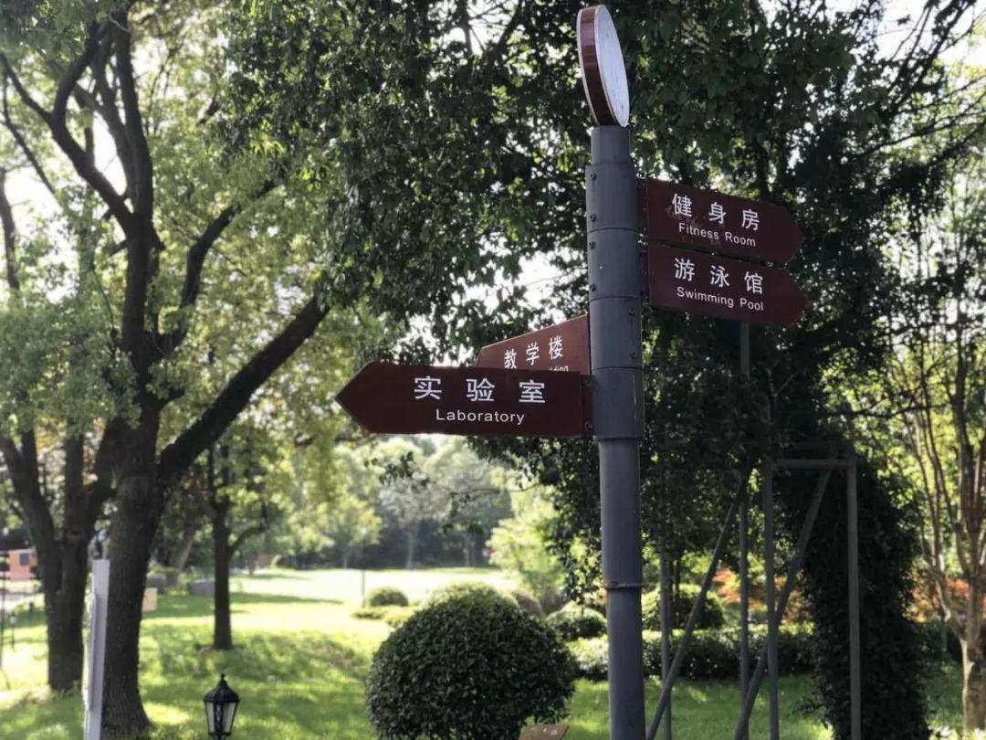 被绿意包裹着的校园.jpg