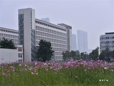 广东财经大学