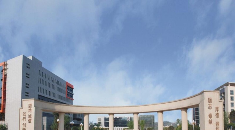 重庆工业职业技术学院是几专