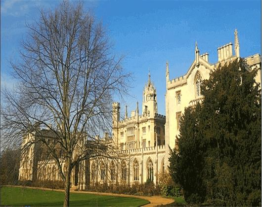 彼得伯勒地区学院